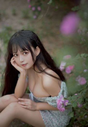 锦衣天下