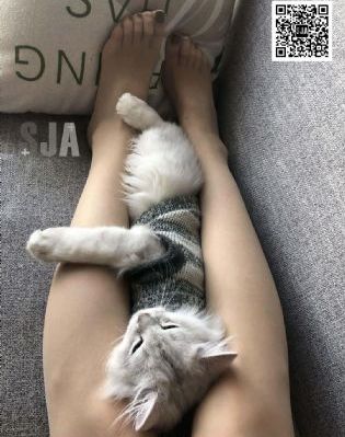 艾克斯奥特曼剧场版