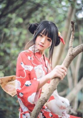 二炮手45集电视剧免费观看高清