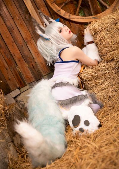 茶杯狐 cupfox 茶杯狐