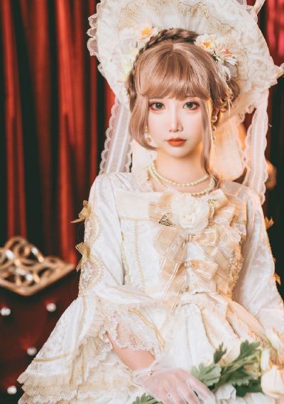 蒲公英家族
