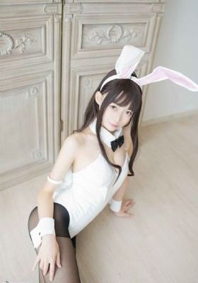 东京食种第一季免费观看