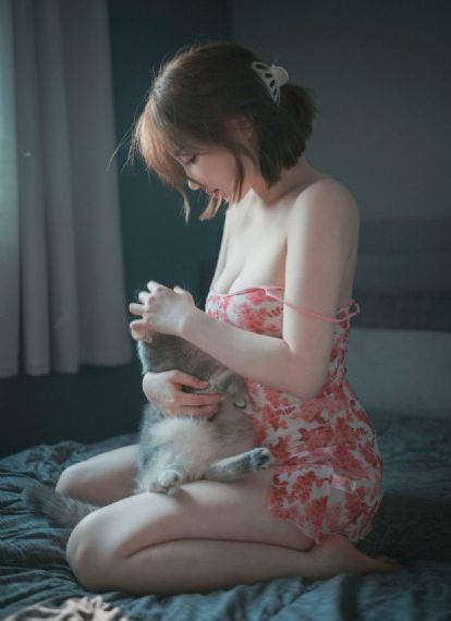 包青天之七侠五义 电视剧