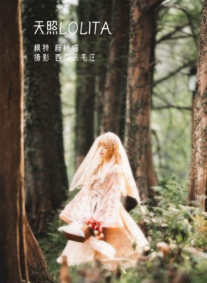 十五年等待候鸟电视剧免费观看