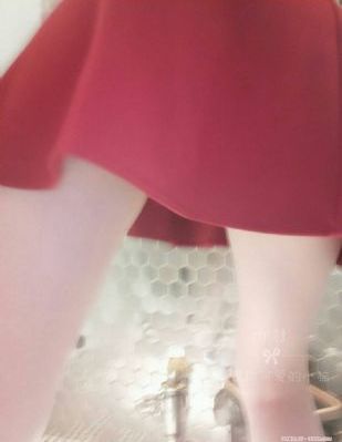 虎妈猫爸电视剧全集