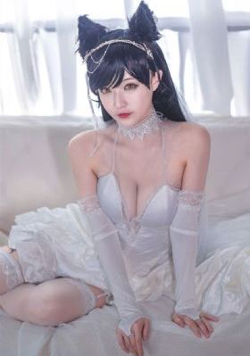扫黑决不放弃在线观看免费高清