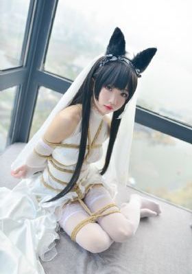 古董局中局1电视剧全集免费观看