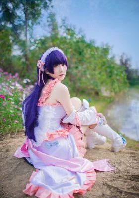 神龙星主动漫免费观看完整版