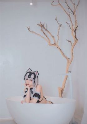 屌丝骑士